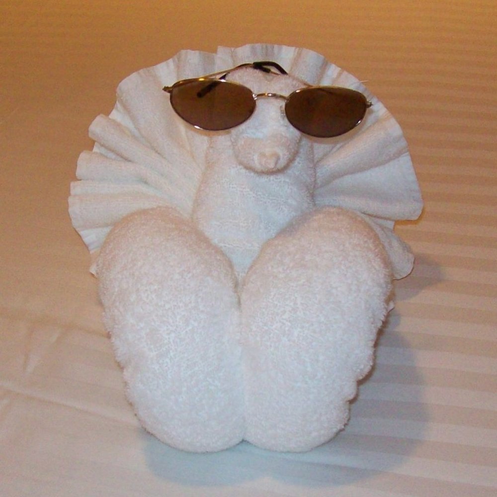 Meet your Posher, Debra